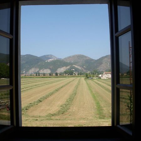B&B Antica Dimora San Giuliano Terme Exteriör bild