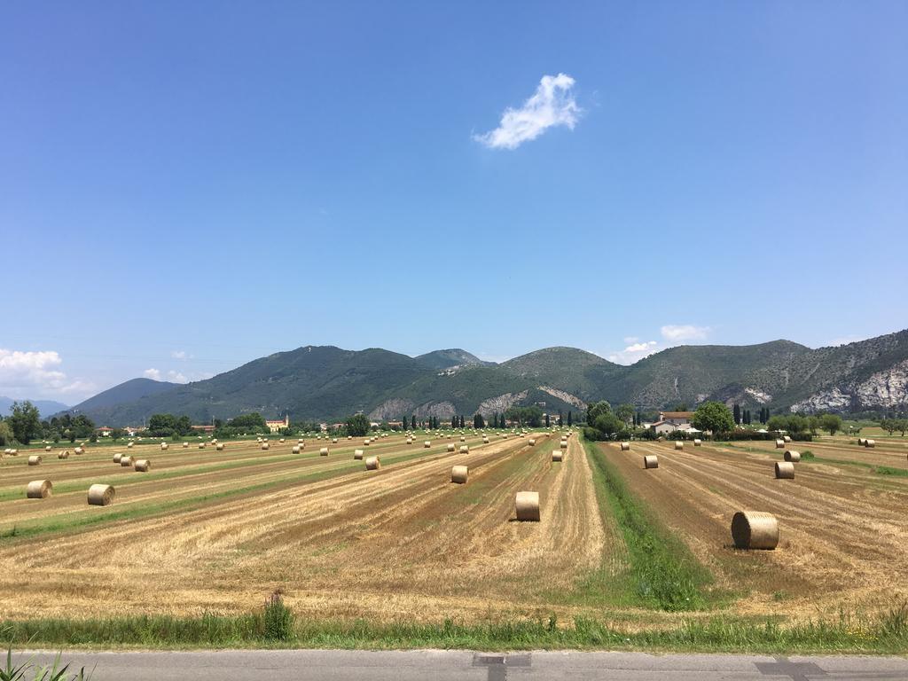B&B Antica Dimora San Giuliano Terme Exteriör bild